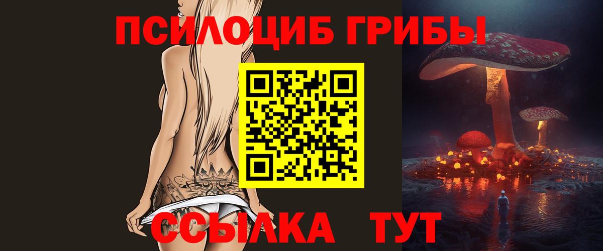 где продают наркотики  Вход с VPN  Касимов  Псилоцибиновые грибы GOLDEN TEACHER 